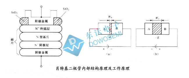 肖特基二極管.jpg